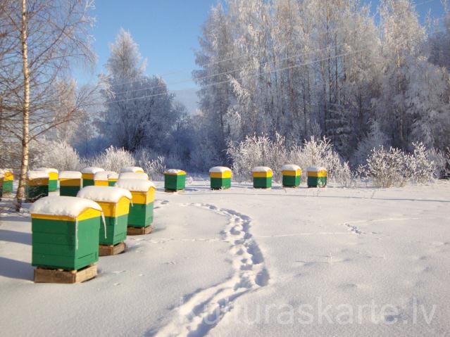 “Kramiņi”, biškopības bioloģiskā saimniecība